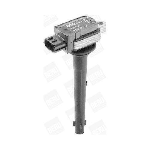 BorgWarner (BERU) Zündspule ZSE056
