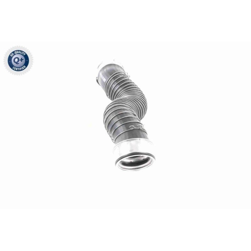 VAICO Ladeluftschlauch Q+, Erstausrüsterqualität V20-3251