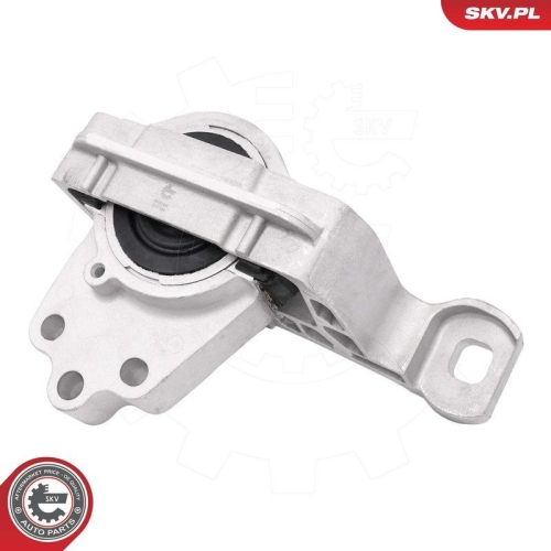 ESEN SKV Lagerung, Motor 75SKV296