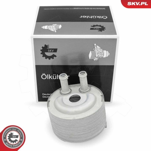ESEN SKV &Ouml;lk&uuml;hler, Motor&ouml;l 31SKV315