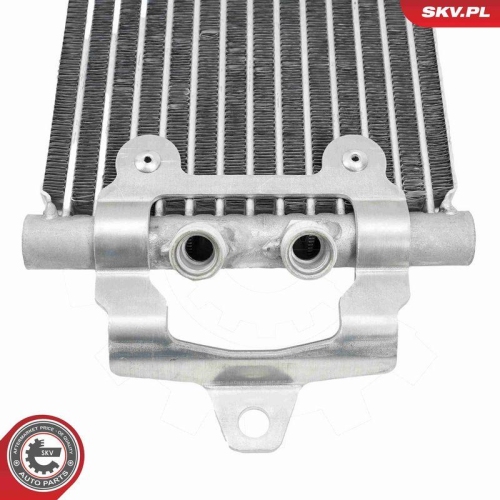 ESEN SKV &Ouml;lk&uuml;hler, Motor&ouml;l 31SKV356