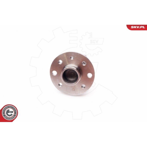 ESEN SKV Radlagersatz 29SKV113