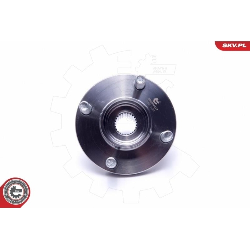 ESEN SKV Radlagersatz 29SKV517