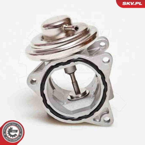 ESEN SKV AGR-Ventil 14SKV019