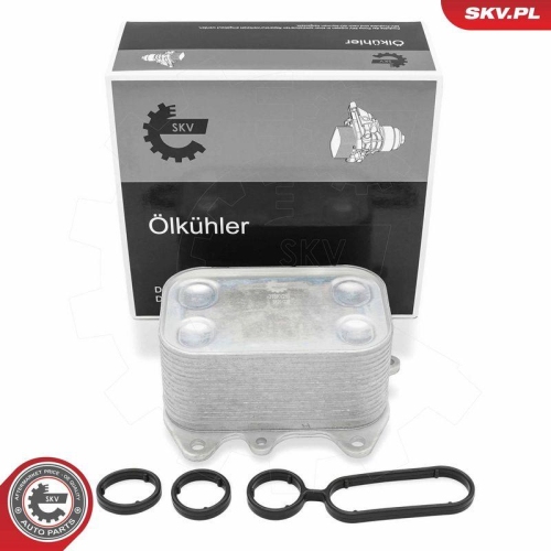 ESEN SKV &Ouml;lk&uuml;hler, Motor&ouml;l 31SKV285