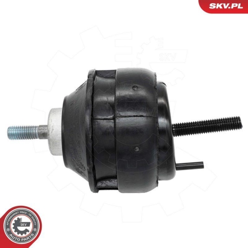 ESEN SKV Lagerung, Motor 75SKV332