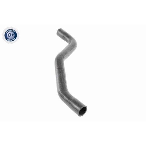 VAICO K&uuml;hlerschlauch Q+, Erstausr&uuml;sterqualit&auml;t V46-0915