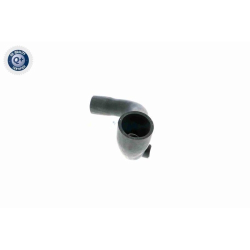 VAICO Kühlerschlauch Q+, Erstausrüsterqualität V30-0711