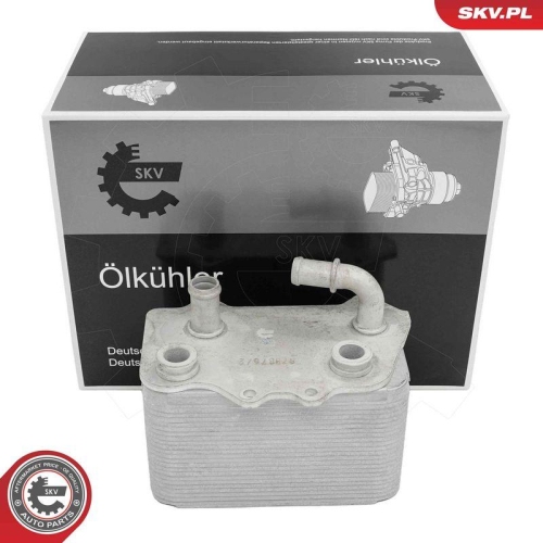 ESEN SKV &Ouml;lk&uuml;hler, Motor&ouml;l 31SKV335
