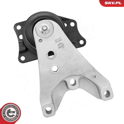 ESEN SKV Lagerung, Motor 75SKV046