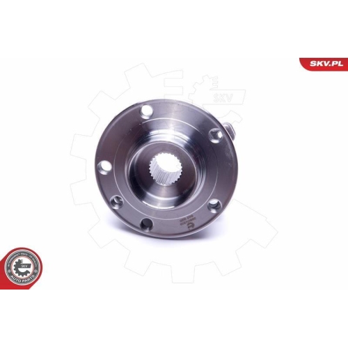 ESEN SKV Radlagersatz 29SKV309