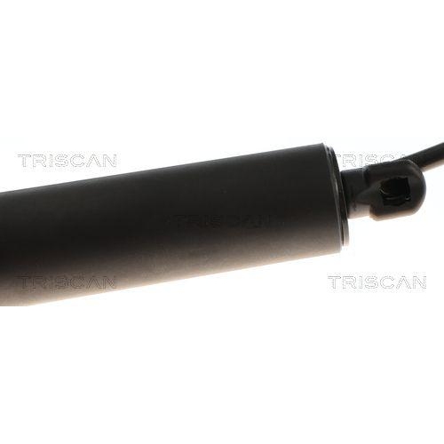 TRISCAN Gasfeder, Koffer-/Laderaum 8710 24301
