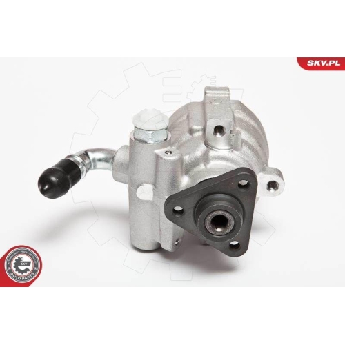 ESEN SKV Hydraulikpumpe, Lenkung