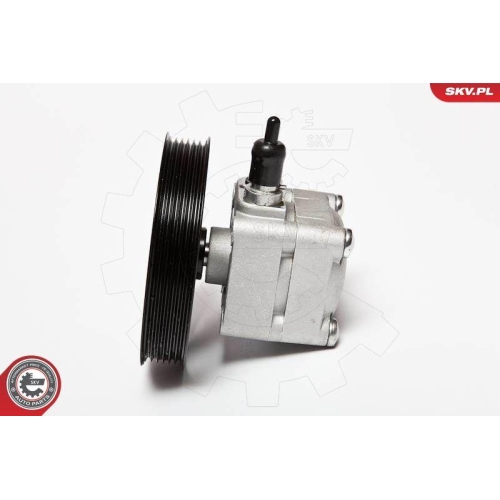 ESEN SKV Hydraulikpumpe, Lenkung