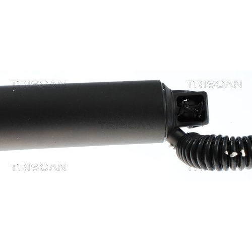 TRISCAN Gasfeder, Koffer-/Laderaum 8710 292086