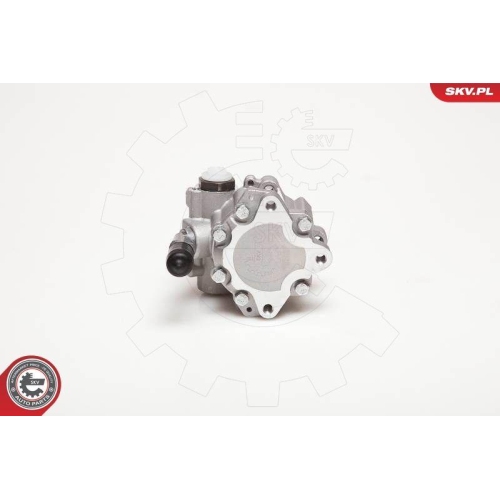 ESEN SKV Hydraulikpumpe, Lenkung