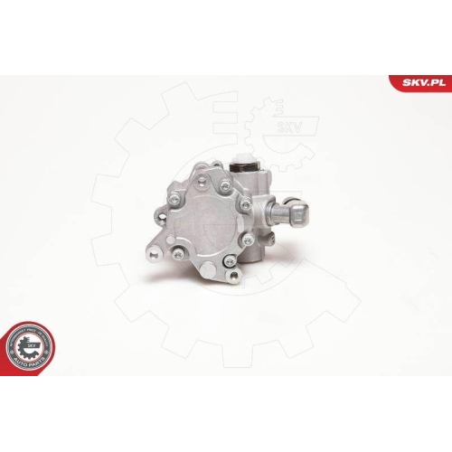 ESEN SKV Hydraulikpumpe, Lenkung