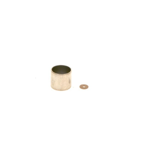BOSCH Buchse F 00R 0P0 883