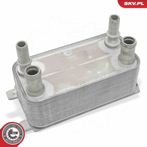 ESEN SKV &Ouml;lk&uuml;hler, Motor&ouml;l 31SKV342