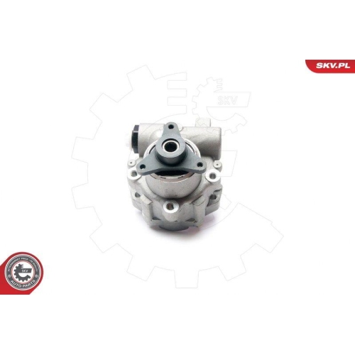 ESEN SKV Hydraulikpumpe, Lenkung