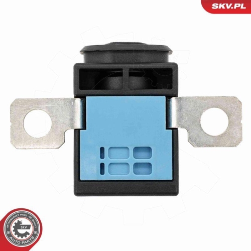 ESEN SKV Sensor, Batteriemanagement