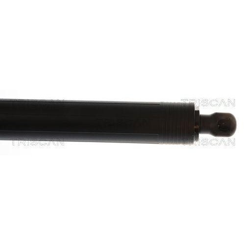 TRISCAN Gasfeder, Koffer-/Laderaum 8710 43311