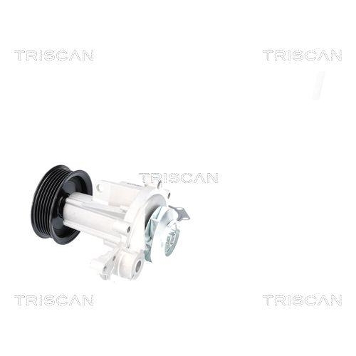 TRISCAN Wasserpumpe, Motork&uuml;hlung 8600 12002