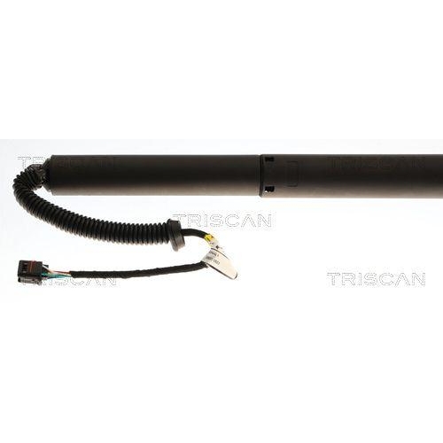 TRISCAN Gasfeder, Koffer-/Laderaum 8710 43313