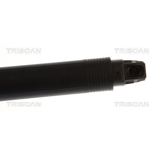 TRISCAN Gasfeder, Koffer-/Laderaum 8710 29340