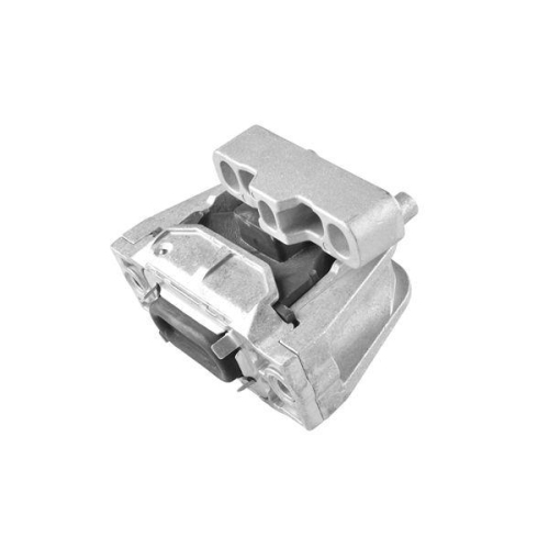 TEDGUM Lagerung, Motor