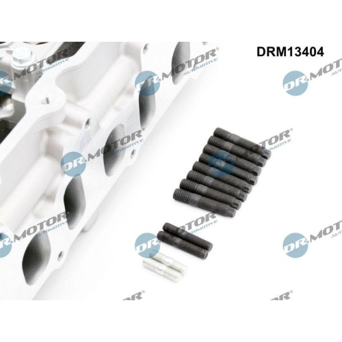 Dr.Motor Automotive Zylinderkopf DRM13404