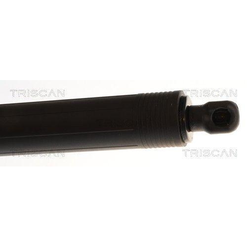 TRISCAN Gasfeder, Koffer-/Laderaum 8710 29342