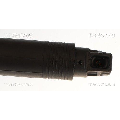 TRISCAN Gasfeder, Koffer-/Laderaum 8710 43318