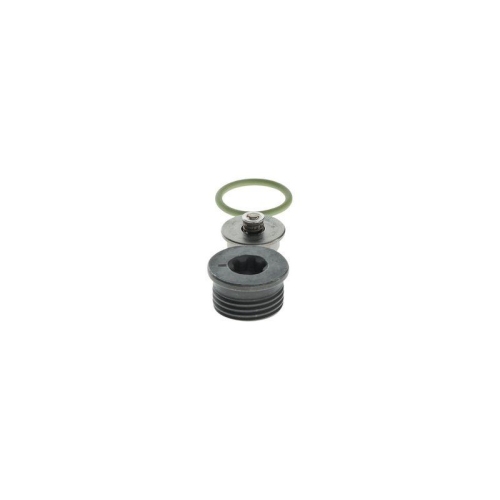 BOSCH Reparatursatz, Common-Rail-System F 00N 201 244