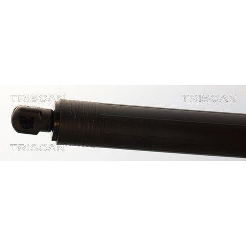 TRISCAN Gasfeder, Koffer-/Laderaum 8710 29337
