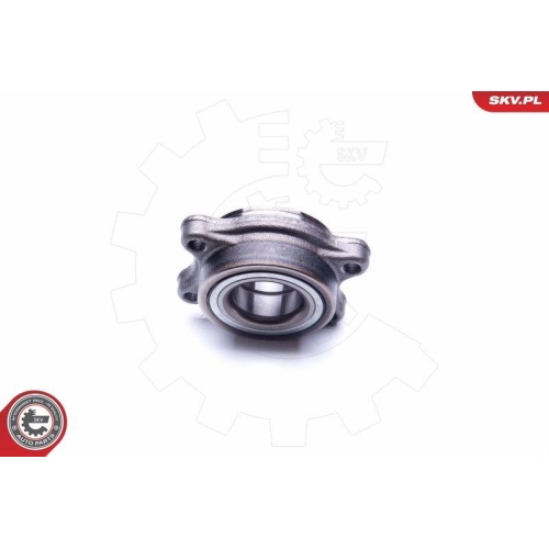 ESEN SKV Radlagersatz