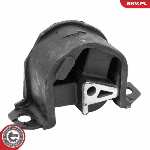 ESEN SKV Lagerung, Automatikgetriebe 75SKV803