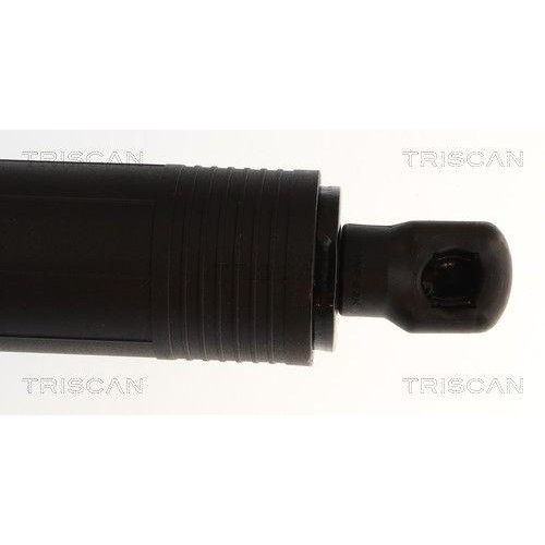 TRISCAN Gasfeder, Koffer-/Laderaum 8710 29338