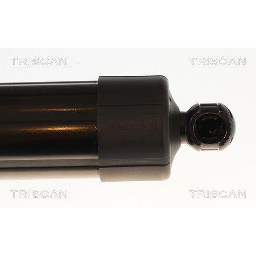 TRISCAN Gasfeder, Koffer-/Laderaum 8710 25301