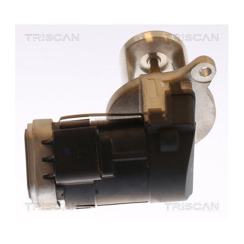 TRISCAN AGR-Ventil 8813 23101