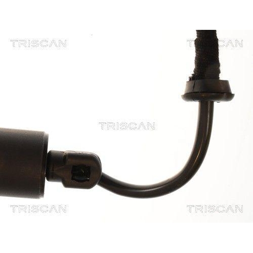 TRISCAN Gasfeder, Koffer-/Laderaum 8710 29336