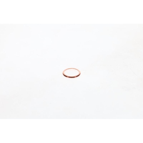 BOSCH Dichtung 1 420 211 005