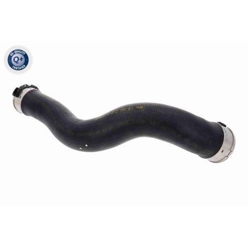 VAICO Ladeluftschlauch Q+, Erstausrüsterqualität V30-4444