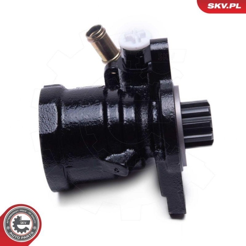 ESEN SKV Hydraulikpumpe, Lenkung 10SKV315