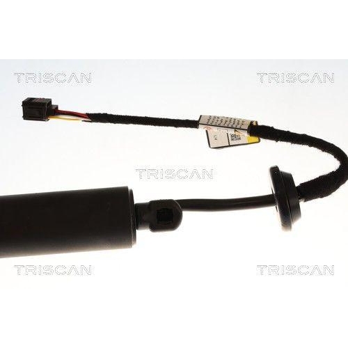 TRISCAN Gasfeder, Koffer-/Laderaum 8710 27318