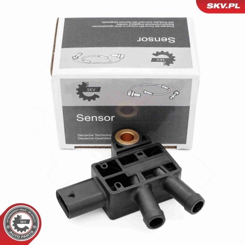 ESEN SKV Sensor, Abgasdruck 17SKV876
