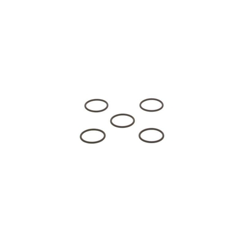 BOSCH Dichtring F 00R J01 878