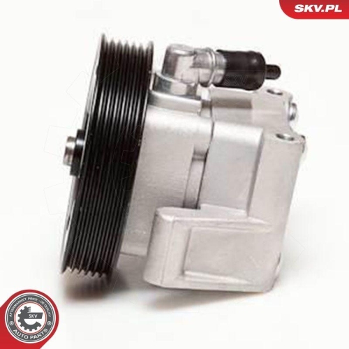 ESEN SKV Hydraulikpumpe, Lenkung 10SKV001