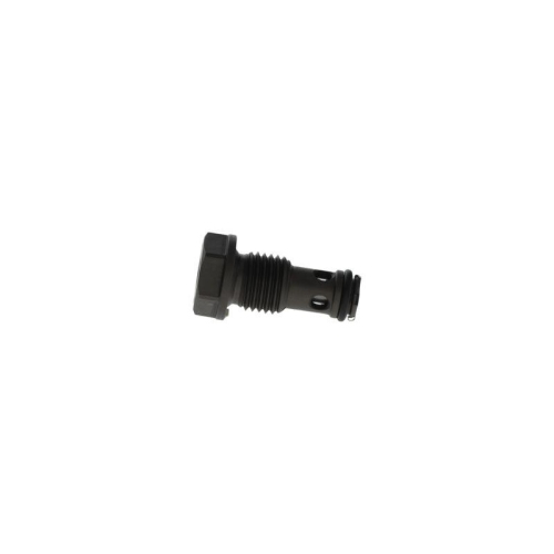 BOSCH Ventil, Einspritzanlage F 00N 203 165