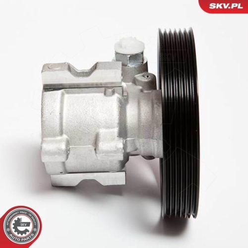 ESEN SKV Hydraulikpumpe, Lenkung 10SKV002